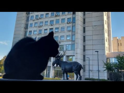 Видео: Задание С3. 2)Составные конструкции в ПК ЛИРА-САПР