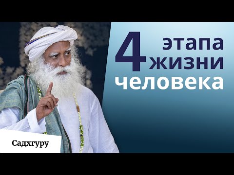 Видео: Как твоя жизнь меняется каждые 12 лет?