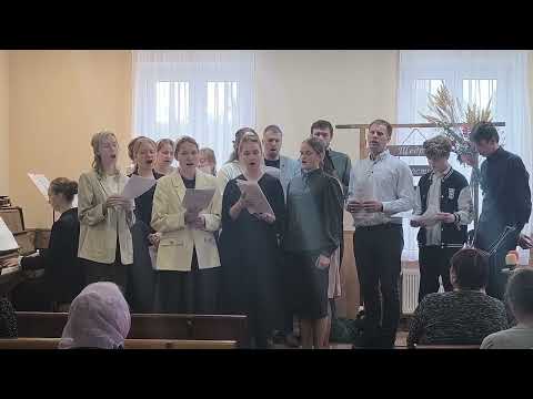 Видео: "каждый день,я любуюсь" г.Рогачев молодежное участие.