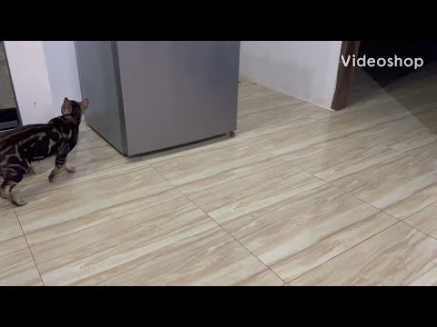 Видео: Как филиппинка обула на $30 тысяч , Американца …