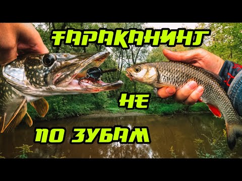 Видео: ТАРАКАНИНГ НЕ ПО ЗУБАМ! Трудовой голавль августа. Щука на топвотеры