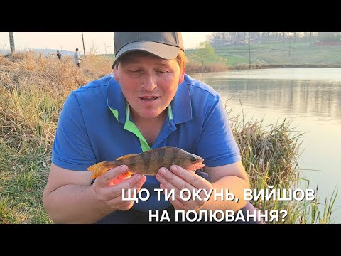 Видео: ВЕСНЯНИЙ ОКУНЬ НА УЛЬТРАЛАЙТ! СПІНІНГ ВЕСНОЮ#fishing #спінінг