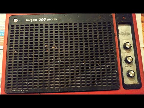 Видео: Лидер 306- моно. Электрофон. Разбор на драгметаллы.