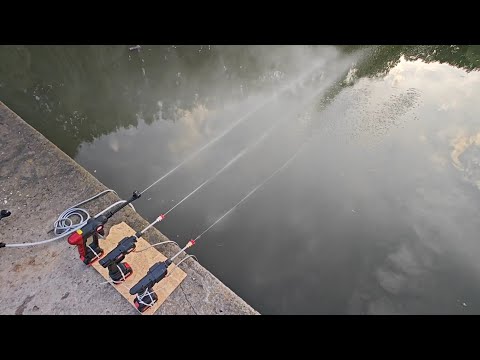 Видео: ОДНОЧАСНО тестую акумуляторні мийки: Leader, AL-KO та ноунейм – що обрати?