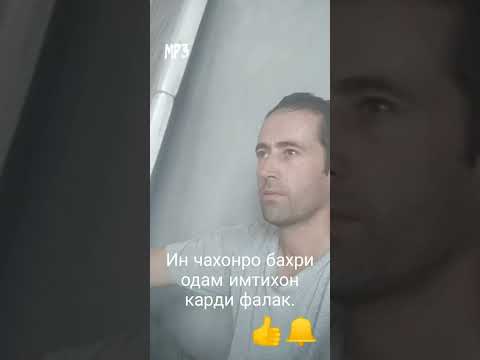 Видео: Матин Аминов.Ин чахонро бахри одам имтихон карди фалак.