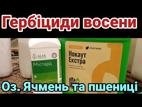 Видео: 24.10.25.. Гербіцидна обробка восени на зернових.Пшениці Оранта Покровська озимий ячмінь Ізоцель.