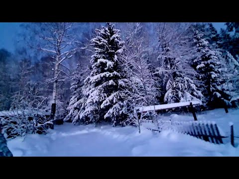 Видео: Уральская зимняя сказка 🌲 В гостях у подруги ❄️