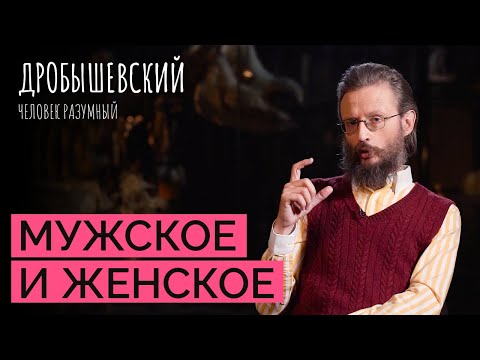 Видео: Как выглядят половые различия у обезьян и предков человека? // Дробышевский. Человек разумный