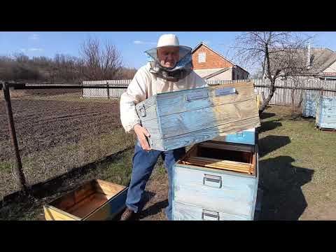 Видео: Как сделать отводок в двухматочном улье.