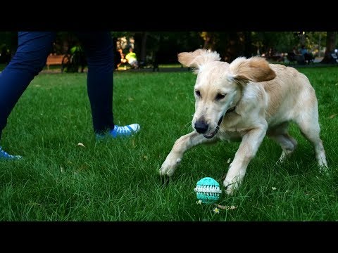 Видео: ПЪРВИ СТЪПКИ в снимането: Високоскоростна фотография