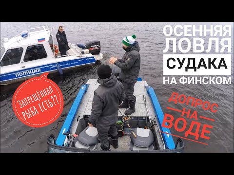 Видео: Заглянули под воду. Осенняя ловля судака. Рыбалка финский залив