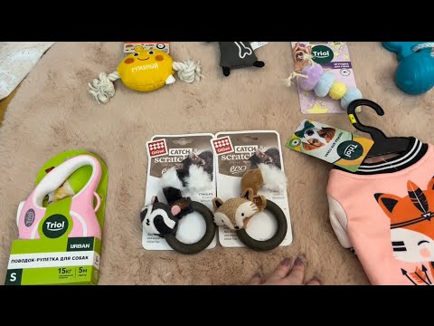 Видео: Обзор зоотоваров TRIOL, GiGwi и Gamma // Классные новинки для питомцев