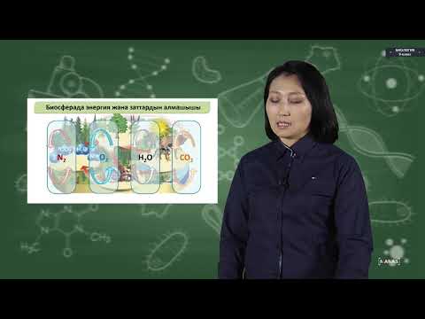 Видео: Биология - 9 класс - Биосфера