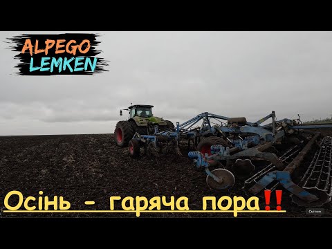 Видео: ОСІННІЙ ВАЙБ 😍