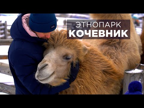Видео: Этнопарк Кочевник