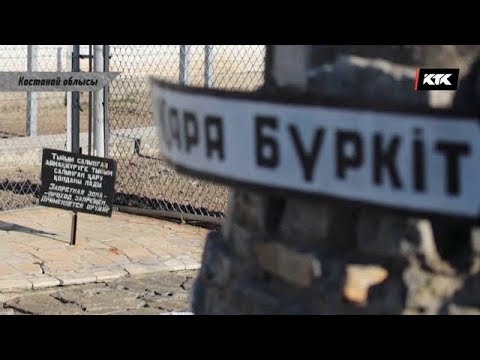 Видео: АПТАП / "ҚАРА БҮРКІТКЕ" ҚАМАЛҒАНДАР