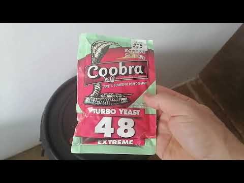 Видео: Работа на дрожжах-Coobra 48 extrime