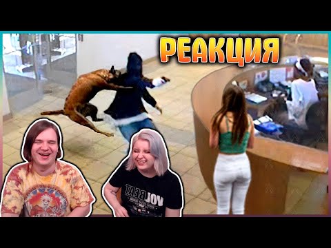 Видео: Животные СПАСАЮТ Людей! Топ 10 Животных Героев Спасших Жизни! | РЕАКЦИЯ НА @Интересные Факты |