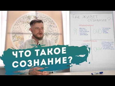 Видео: Что такое сознание и где оно живет?