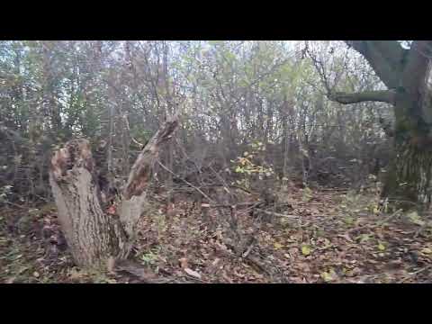 Видео: Расчистка участка.  Часть..... 