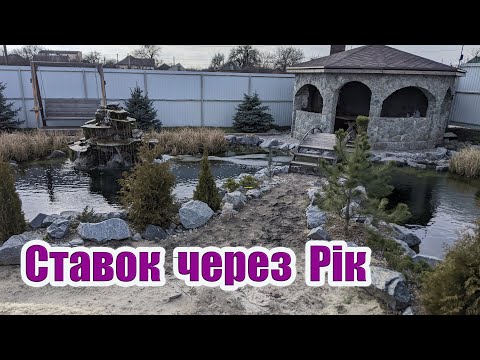 Видео: Ставок через рік