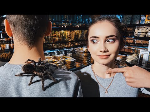 Видео: ОБЗОР НАШЕЙ КОЛЛЕКЦИИ ПАУКОВ! Распаковка покупок с рептилиума, наши беспозвоночные