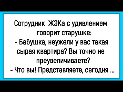 Видео: 🤡Как У бабушки Было Сыро В Квартире! Сборник Смешных Анекдотов! Юмор! Позитив!
