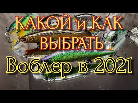 Видео: КАК и КАКОЙ ВОБЛЕР ВЫБРАТЬ В 2021 | ТОП ЛУЧШИХ НОВИЧКУ | Fishing | Kosadaka | Рыбалка