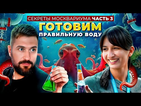Видео: Закулисье МОСКВАРИУМА: как очищают воду для обитателей + встреча с осьминогом!