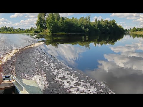 Видео: Рыбалка и поиск клада в Вологодской области.