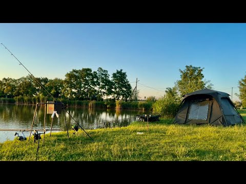 Видео: Рыбалка с ночевкой. Карпфишинг и флэт фидер на карпа. Ловля карпа и сазана летом в непогоду!