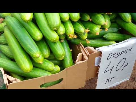 Видео: Снова идём на барахолку. Рынок Удельный.