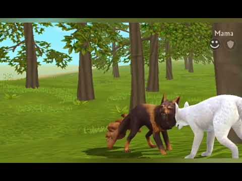 Видео: "уродка" мини-фильм WildCraft