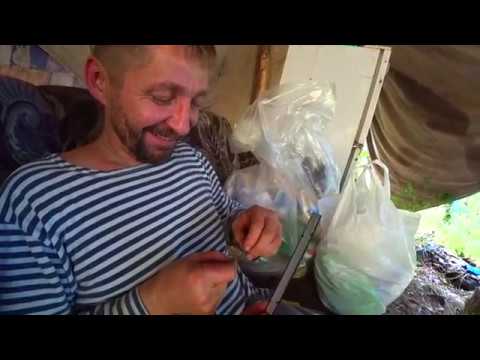 Видео: Ореховая лихорадка, испытание кедротряса, заехали к Володе.