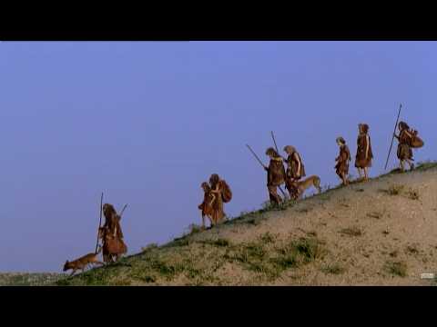 Видео: Одиссея видов - Homo Sapiens