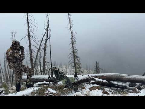 Видео: Охота на оленей-мулов в заповеднике Фрэнк-Черч, 2025 г.