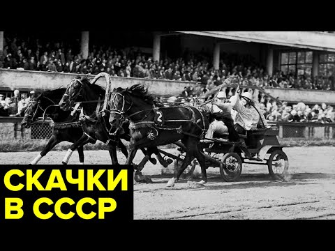 Видео: Кровавые скачки в СССР. Тотализатор, черные букмекеры и «зарядчики»