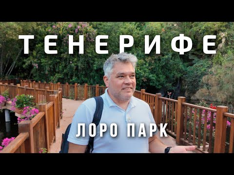 Видео: Лоро Парк на Тенерифе - главная достопримечательность острова