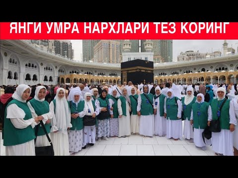 Видео: ТЕЗ КОРИНГ ЯНГИ УМРА НАРХЛАРИ КАТТА ЯНГИЛИК ЕНГ АРЗОН