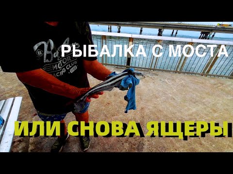 Видео: ВСЕ АВСТРАЛИЙСКИЕ 🇦🇺 РЫБАКИ МЕЧТАЮ ПОЙМАТЬ ЭТУ РЫБИНУ!!!!