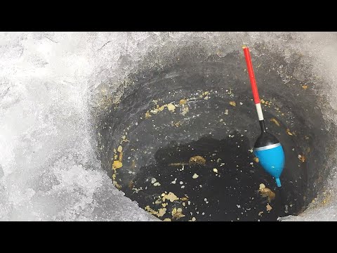 Видео: ВЫШЛА НА  КАРАСЕВУЮ ТРОПУ... ЛУНКА  с ЧЕСНОКОМ  заработала!!!Зимняя рыбалка 2025