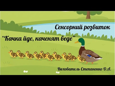 Видео: Сенсорний розвиток "Качка йде, каченят веде". Ранній вік