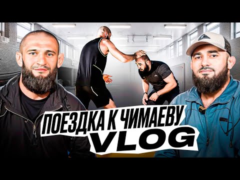 Видео: BADAEV VLOG #1: Хамзат Чимаев - меня подставили| Уиттакер-Алискеров, следующий Коста или Стриклэнд?