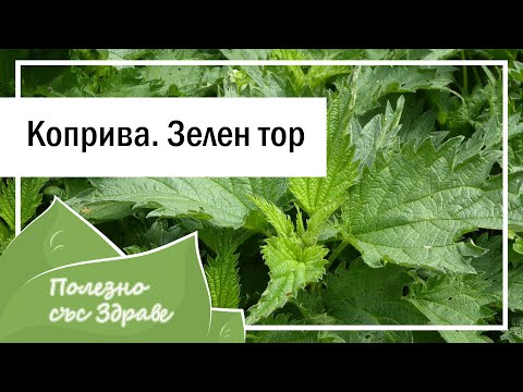 Видео: 2 рецепти за тор за  по-здрави и обилно растящи зеленчуци - коприва