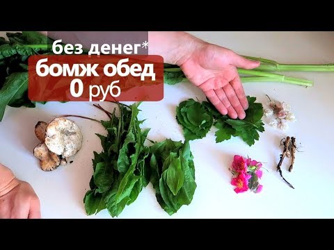 Видео: 🍄 БОМЖ ОБЕД на 0 РУБЛЕЙ 🌿 Вершки и Корешки