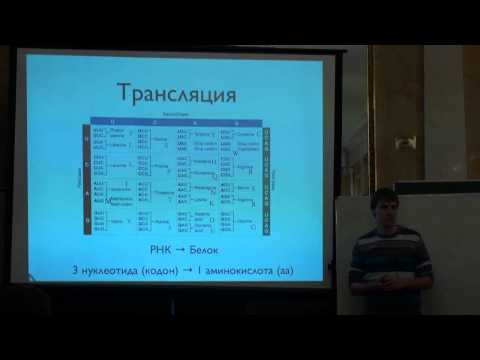 Видео: Лекция 1 | Алгоритмы в биоинформатике | Николай Вяххи | CSC | Лекториум