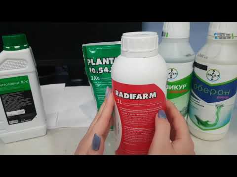 Видео: 💥Новые ВКУСНЯШКИ и ПОЛЕЗНОСТИ для орхидей ❤. Радифарм,Превикур,Оберон,Фитолавин ДЛЯ ОРХИДЕЙ 💥