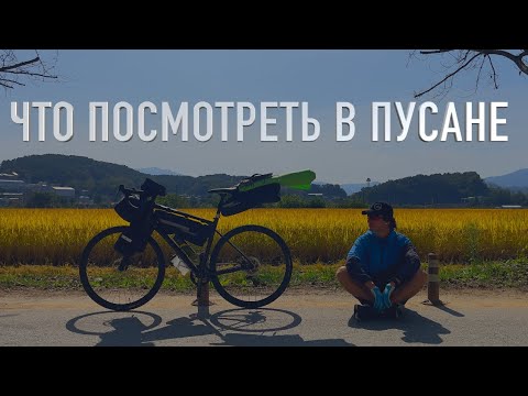 Видео: Пусан. Что посмотреть за 2 дня? | На велике через всю Корею