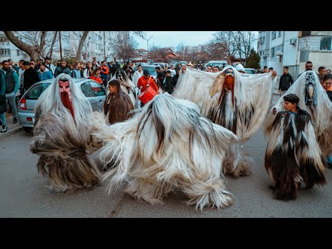 Видео: КУКЕРИ ГР.БУРГАС КВ.МЕДЕН РУДНИК 2024