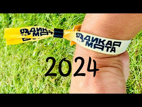 Видео: крупнейший независимый мультиформатный опен-эйр «Дикая Мята» 2024